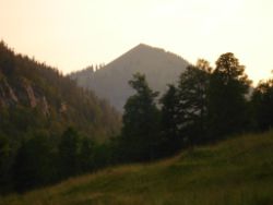 2013-07-20_Regina-F-Rau_Kochel-Rabenkopf (556).JPG